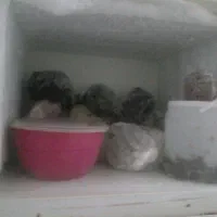 یخچال‌‌‌مناسب‌استفاده