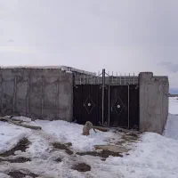 فروش-دامداری-بالای-فاز-3