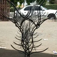 حفاظ شاخ گوزنی