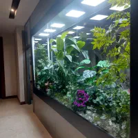 تحویل فوری و چیدمان فلاور باکس با گیاهان مصنوعی