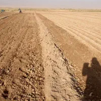 فروش-زمین-کشاورزی