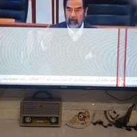 ال ای دی هایسنس|حراج|رشت, پل تالشان|دیوار