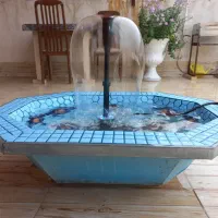 اجاره سوییت در مرکز شهر شوشتر