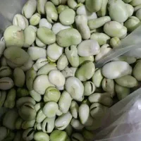 باقلا دانه شده سبز وتازه فقط کیلویی ۱۲۰ تومن