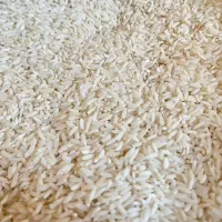 برنج|خوردنی و آشامیدنی|ایلام, |دیوار