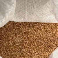 ارزن روس وارداتی - بندر آستارا - حداقل سفارش 4 تن