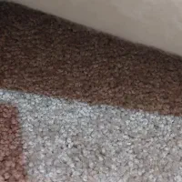 موکت۳در۳درحدنو