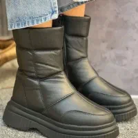 زیره قیمت تعداد محدود به علت مهاجرت