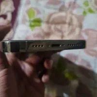 آیفون 13 پرومکس|موبایل|میناب, |دیوار