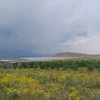 باغ نقلی بادام دیم سد بناب مرند