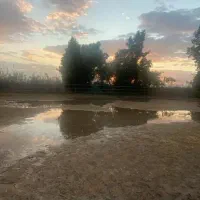 فروش زمین