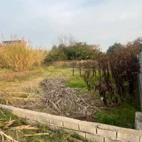 231متر-مربع-زمین-مسکونی