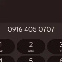 شماره تلفن خاص ماشین