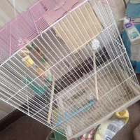 قفس پرنده