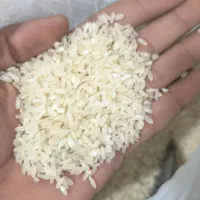 خرده برنج|خوردنی و آشامیدنی|صدرا-فارس, باغشهر گلبهار صدرا|دیوار