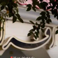 بازدید عروس و ورکشاپ رایگان افرا پنج مرداد ساعت شش