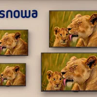 تلویزیونهای اسنوا