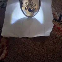 انگشترنقره