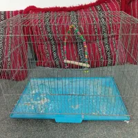 قفس و وسایل اضافی