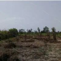 زمین نهرالدوله پشت تپه ی حسن آباد با امکانات کامل