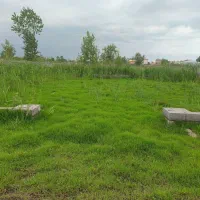 یک قطعه زمین ساحلی به متراژ ۲۱۵ متر مربع