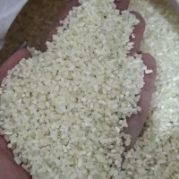 خرده برنج درشت محلی