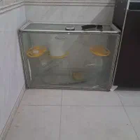 ویترین فروشی