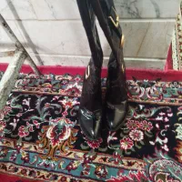 پوتین|کیف، کفش، کمربند|رباط‌کریم, الارد|دیوار