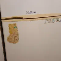 یخچال فریزر فیلور مدل DF342N