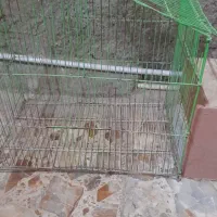 قفس پرنده و لانه عروس هلندی