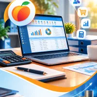 کار با نرم افزار مالی