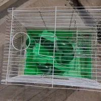 قفس همستر سالم با وسیله بازی