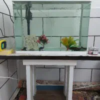 اکواریوم دلسا