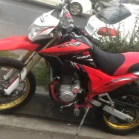 تریل ۲۵۰ برمودا مدل ۹۹