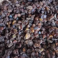 کشمش شیره ایی