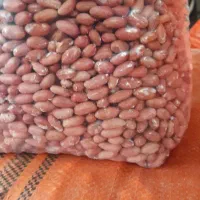 بادام زمینی گلی درجه یک