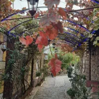 استخدام نیرو