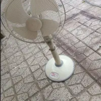 پنگه ایستاده