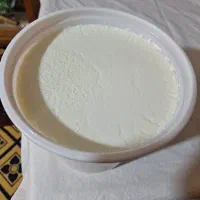 شیر بز