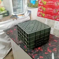 سبدشیر|ظروف نگهدارنده، پلاستیکی، یک‌بارمصرف|همدان, |دیوار