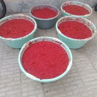 رب خانگی