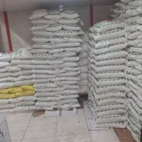 برنج عنبر بو|خوردنی و آشامیدنی|فولادشهر, فولادشهر|دیوار