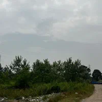 فروش ۵۰۰۰ متر زمین صنعتی امتیاز کامل، کوچه ۱۲ متری|فروش زمین و ملک کلنگی|رشت, بیجارپس|دیوار