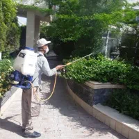 کلیه خدمات باغبانی در تهران و حومه|خدمات باغبانی و درختکاری|تهران, شهرک غرب|دیوار