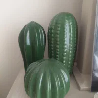 مجسمه دکوری کاکتوس|مجسمه، تندیس، ماکت|تهران, والفجر (افسریه)|دیوار