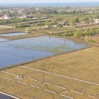 زمین-باغی-4200-متری-کد-009