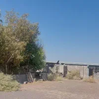 فروش زمین فرح اباد|فروش دفتر صنعتی، کشاورزی، تجاری|کرمان, |دیوار