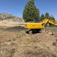 اجاره بیل مکانیکی چرخ زنجیری همراه پیکور