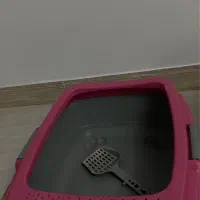 وسایل گربه|لوازم جانبی حیوانات|قزوین, |دیوار