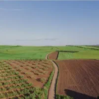 زمین کشاورزی،دامداری